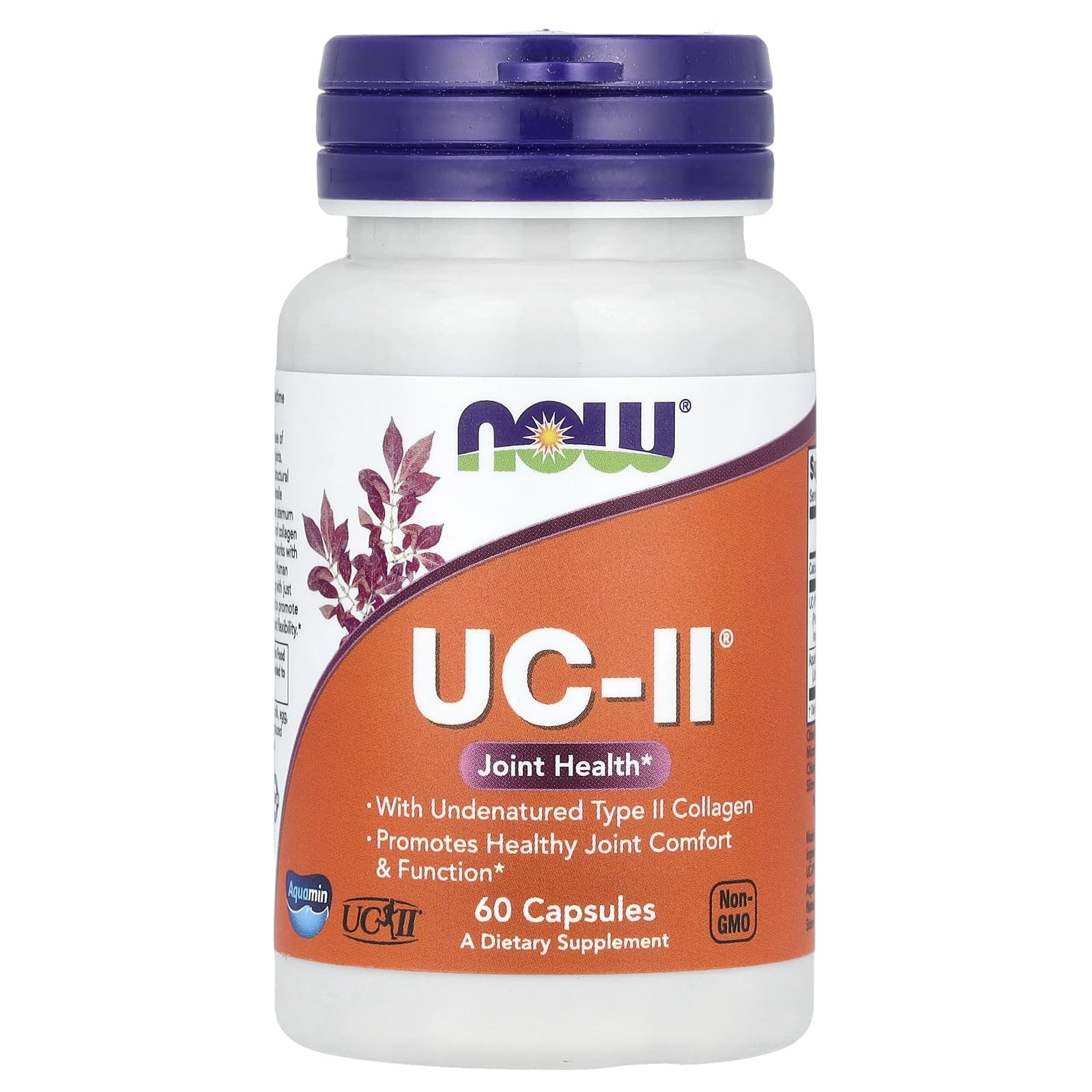 NOW Foods - UC II Type II Collagen