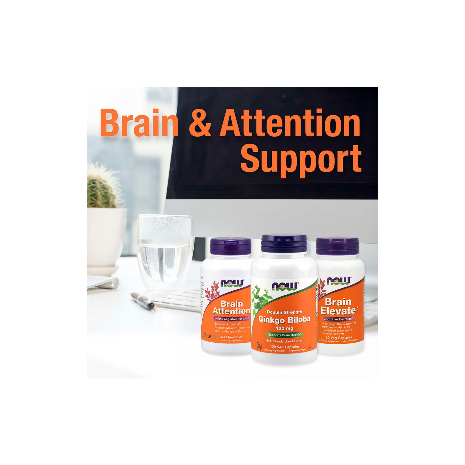 Now Foods - Ginkgo Biloba
