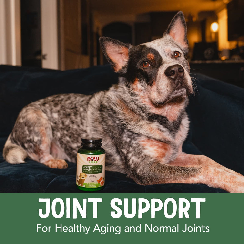 NOW Foods Pets Joint Support dosering