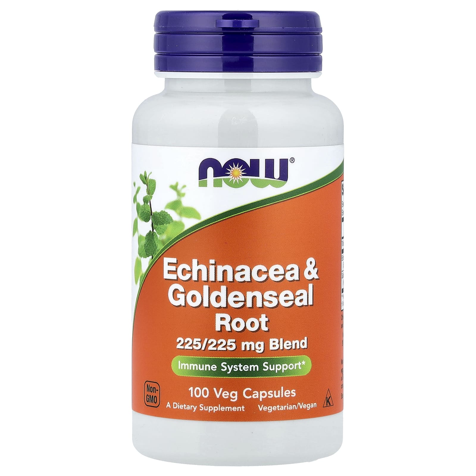 Echinacea & Gulldragonrot – 100 kapslar baksida