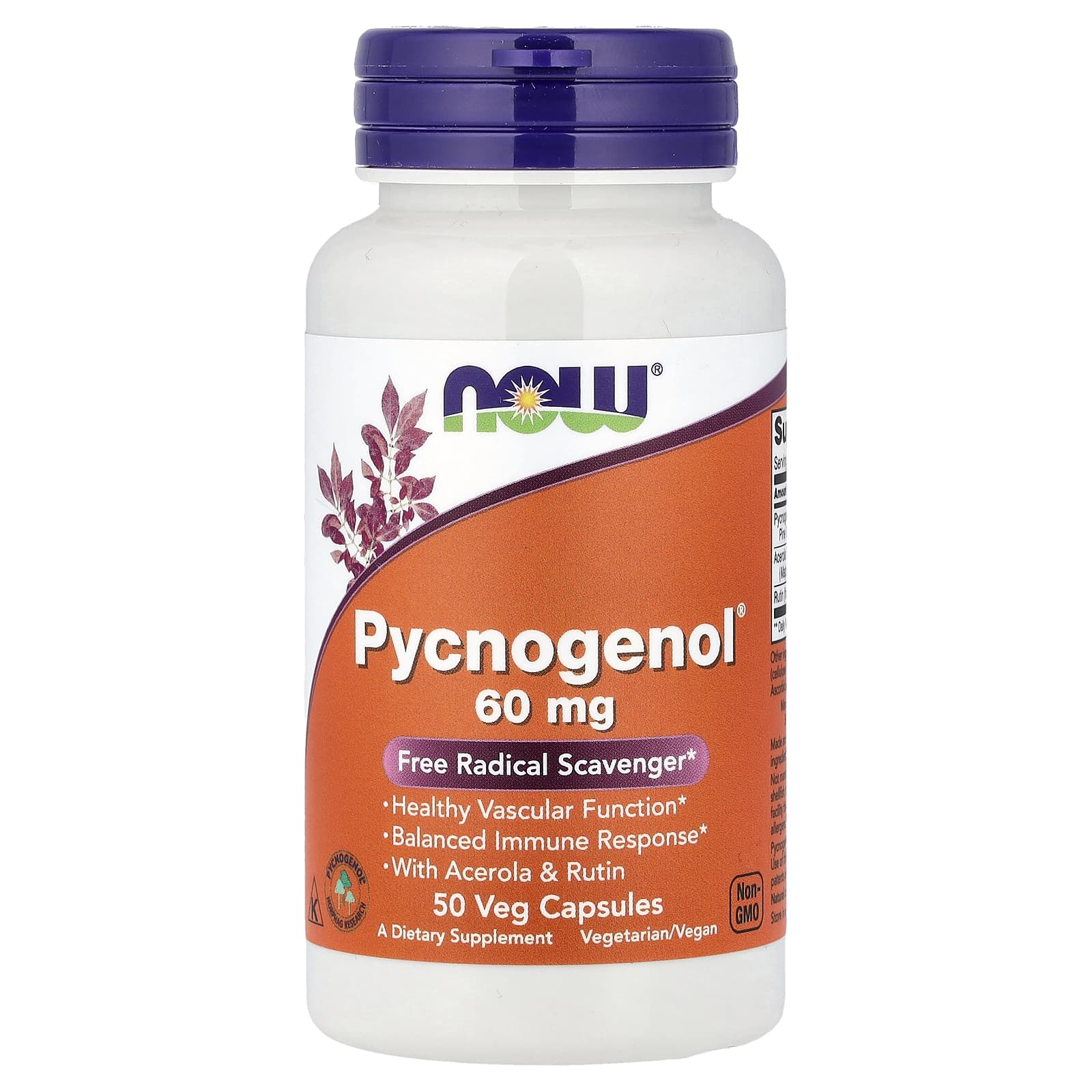 Now Foods - Pycnogenol
