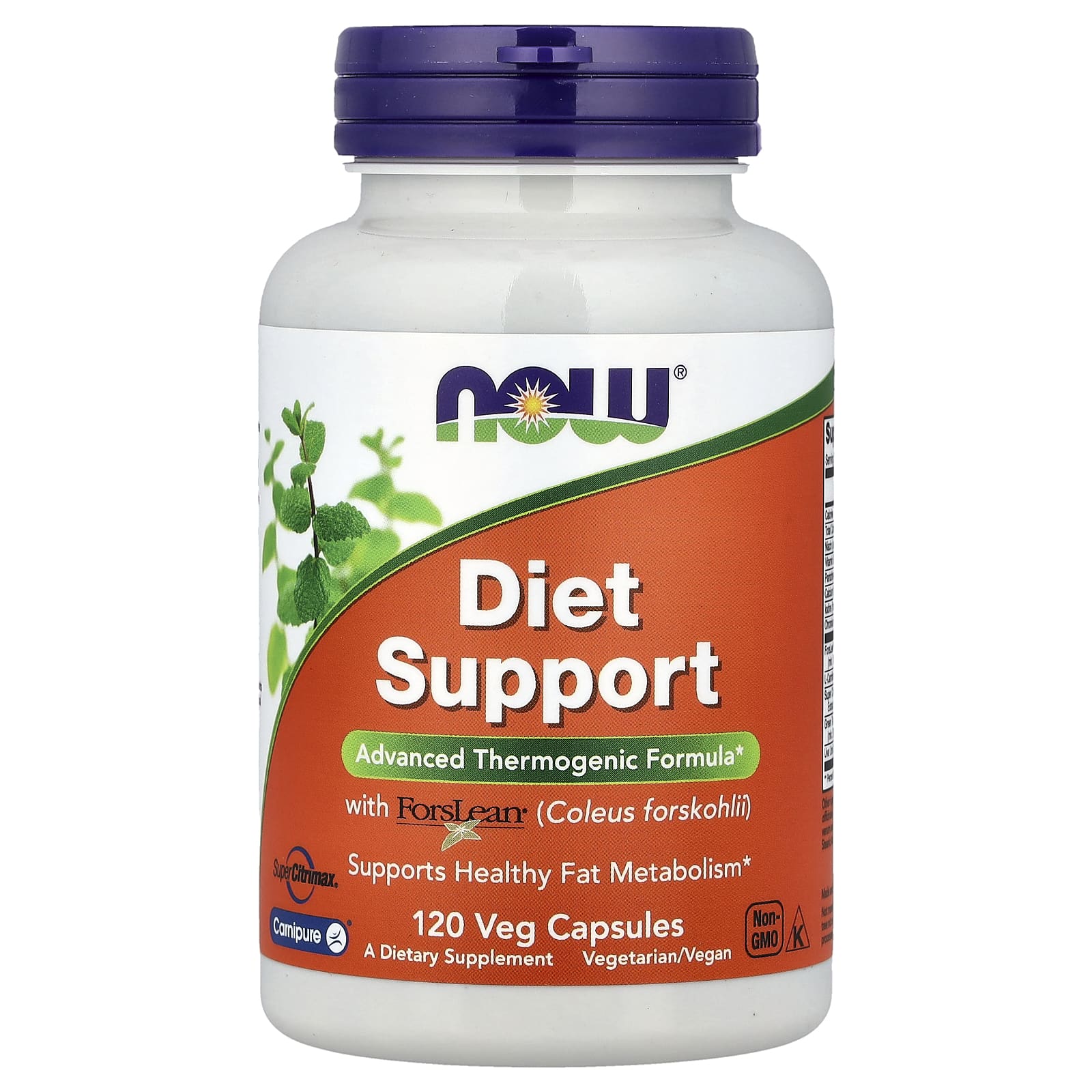 Diet Support baksida med näringsfakta