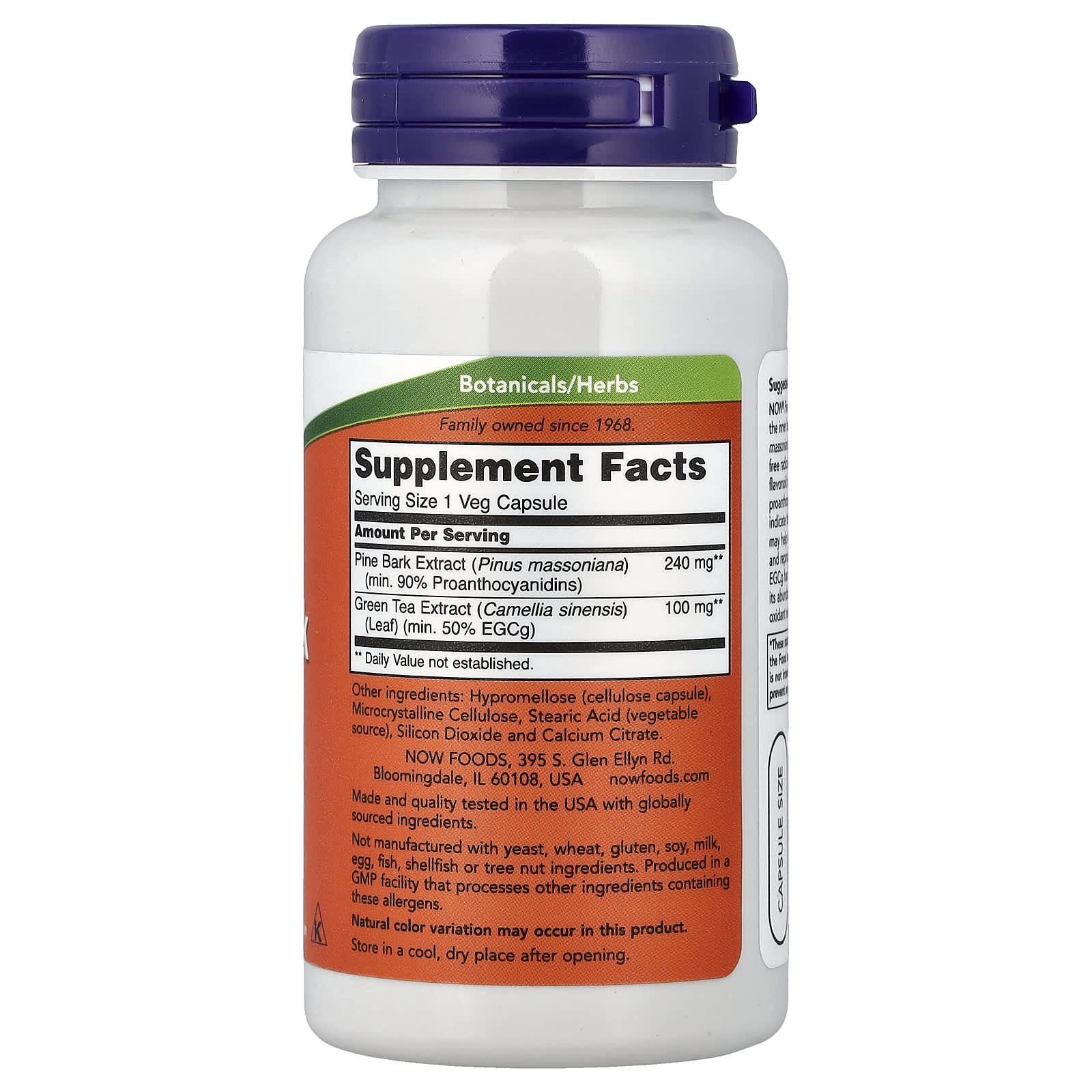 Pine Bark Extract 240 mg baksida