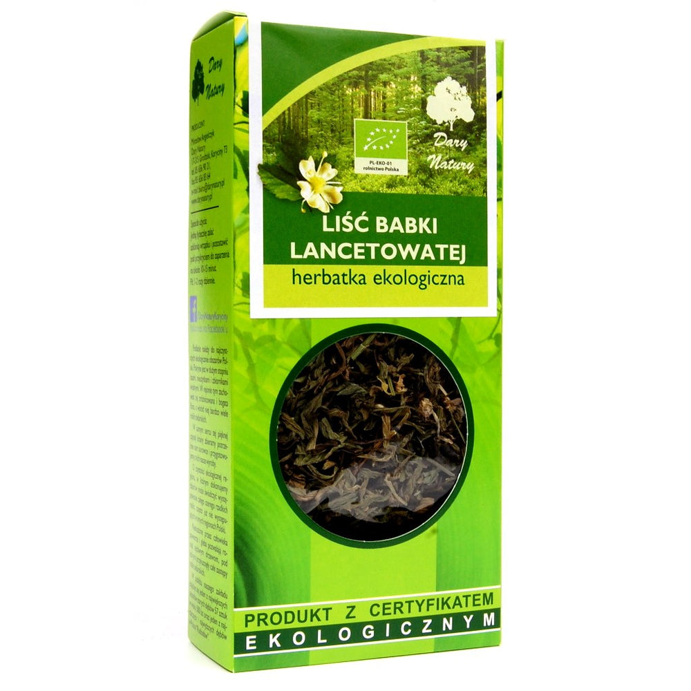 Dary Natury Organic Lancet Plantain Leaf Tea framsida