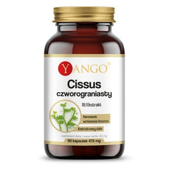 Cissus Quadrangularis 10:1 – 90 kapslar baksida näringsfakta