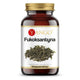 Yango - Fucoxanthin