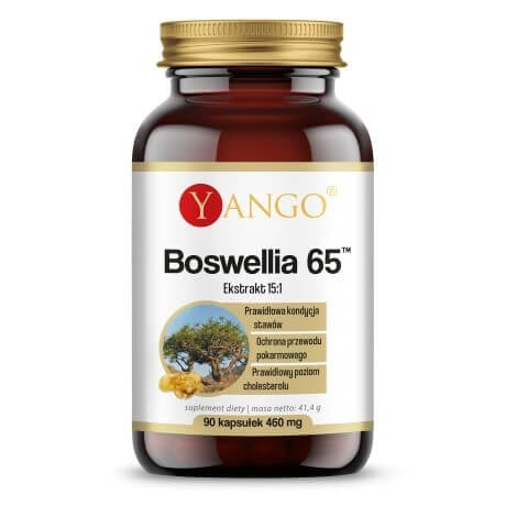 Yango Boswellia 65 framsida