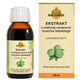 Medi-Flowery Green Walnut Extract 90ml framsida