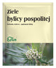 Flos - Mugwort Herb framsida