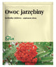 Flos - Rowan Berry framsida