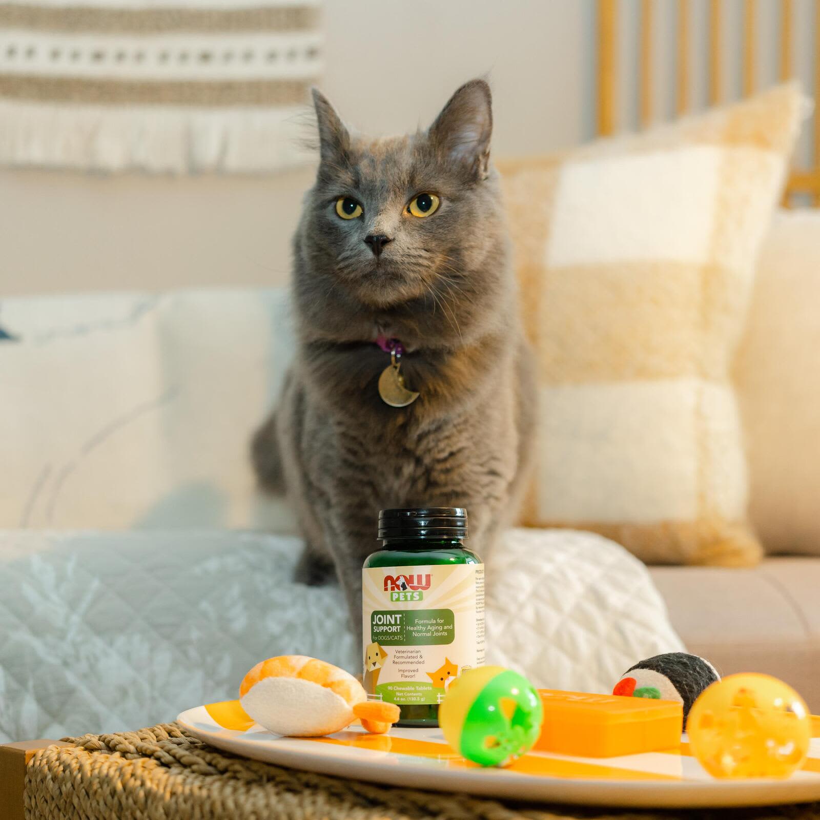NOW Foods Pets Joint Support etikett information