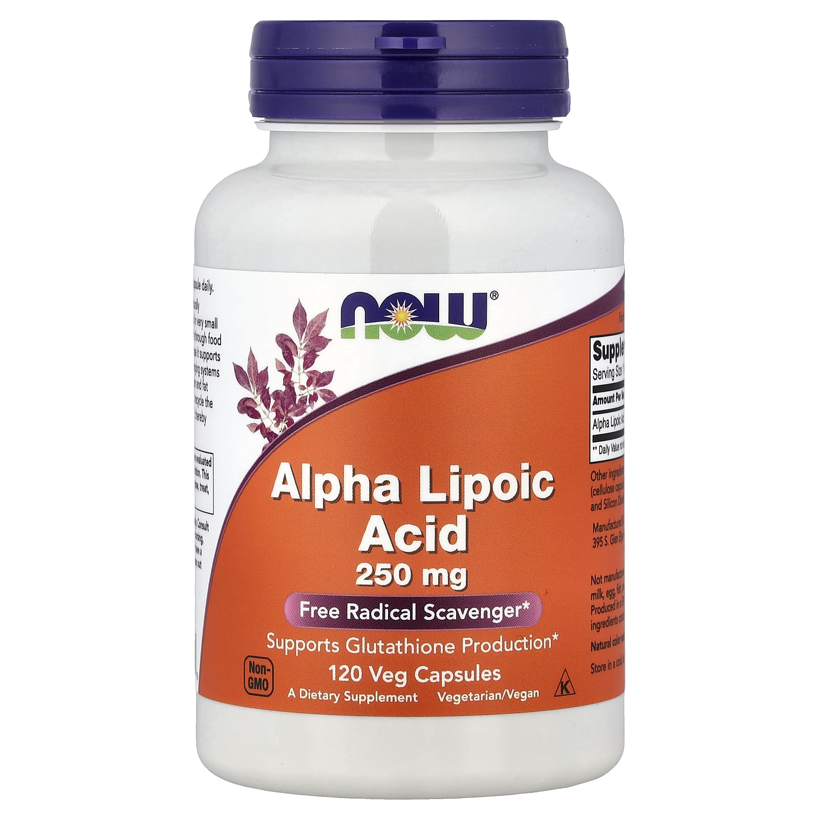 NOW Foods - Alpha Lipoic Acid