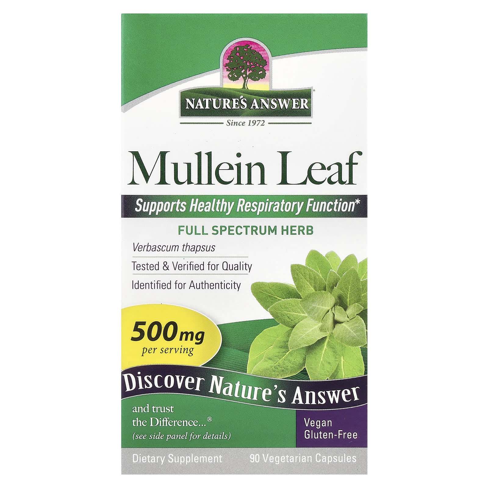 Nature's Answer - Mullein Leaf, 500mg - 90 Vcaps
