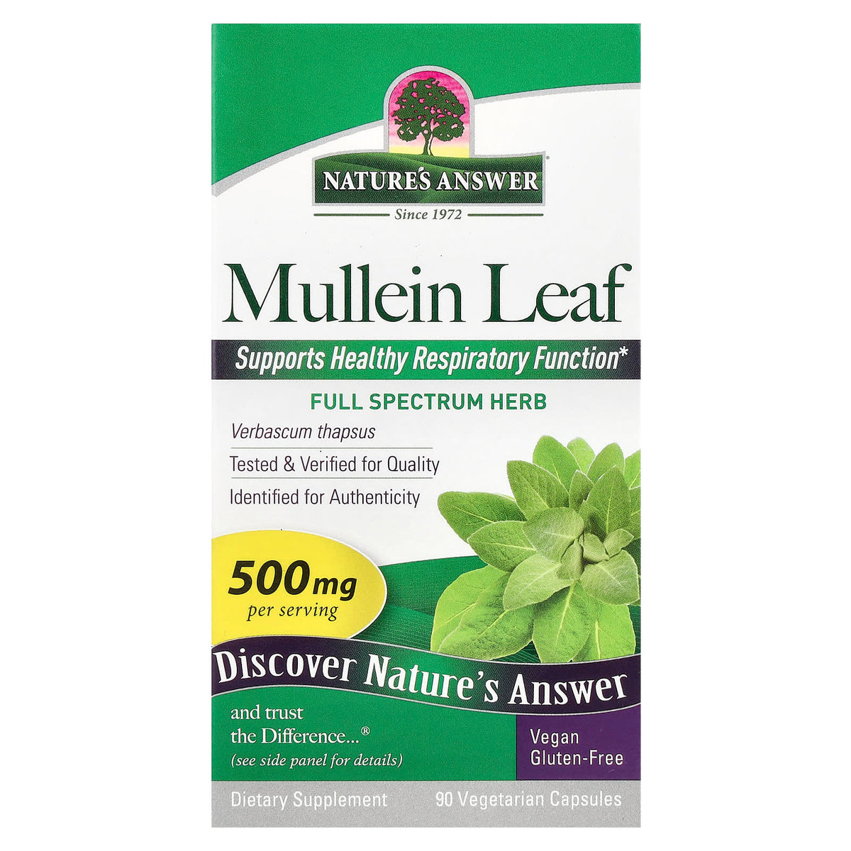 Nature's Answer - Mullein Leaf, 500mg - 90 Vcaps
