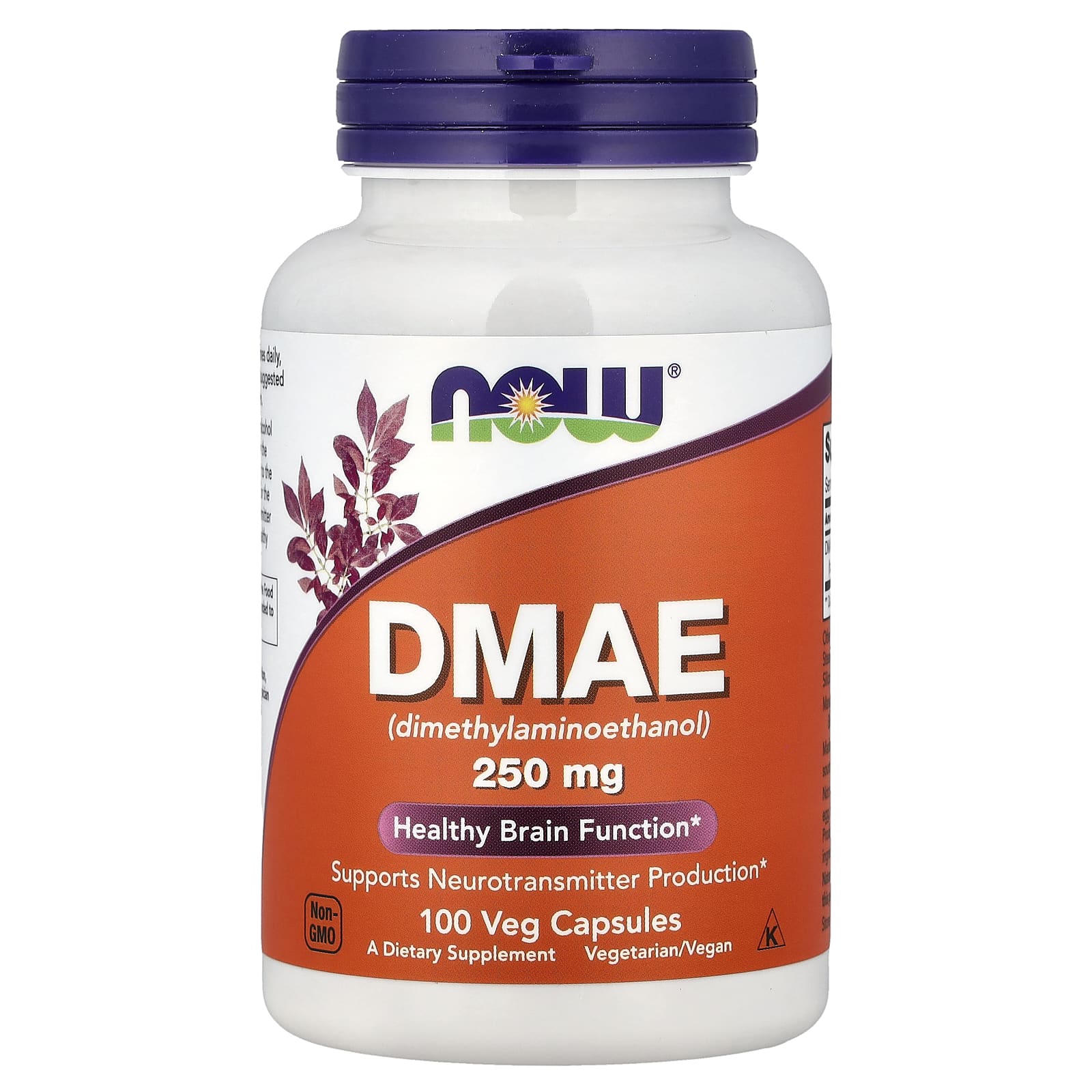 NOW Foods Deanol 250 mg framsida