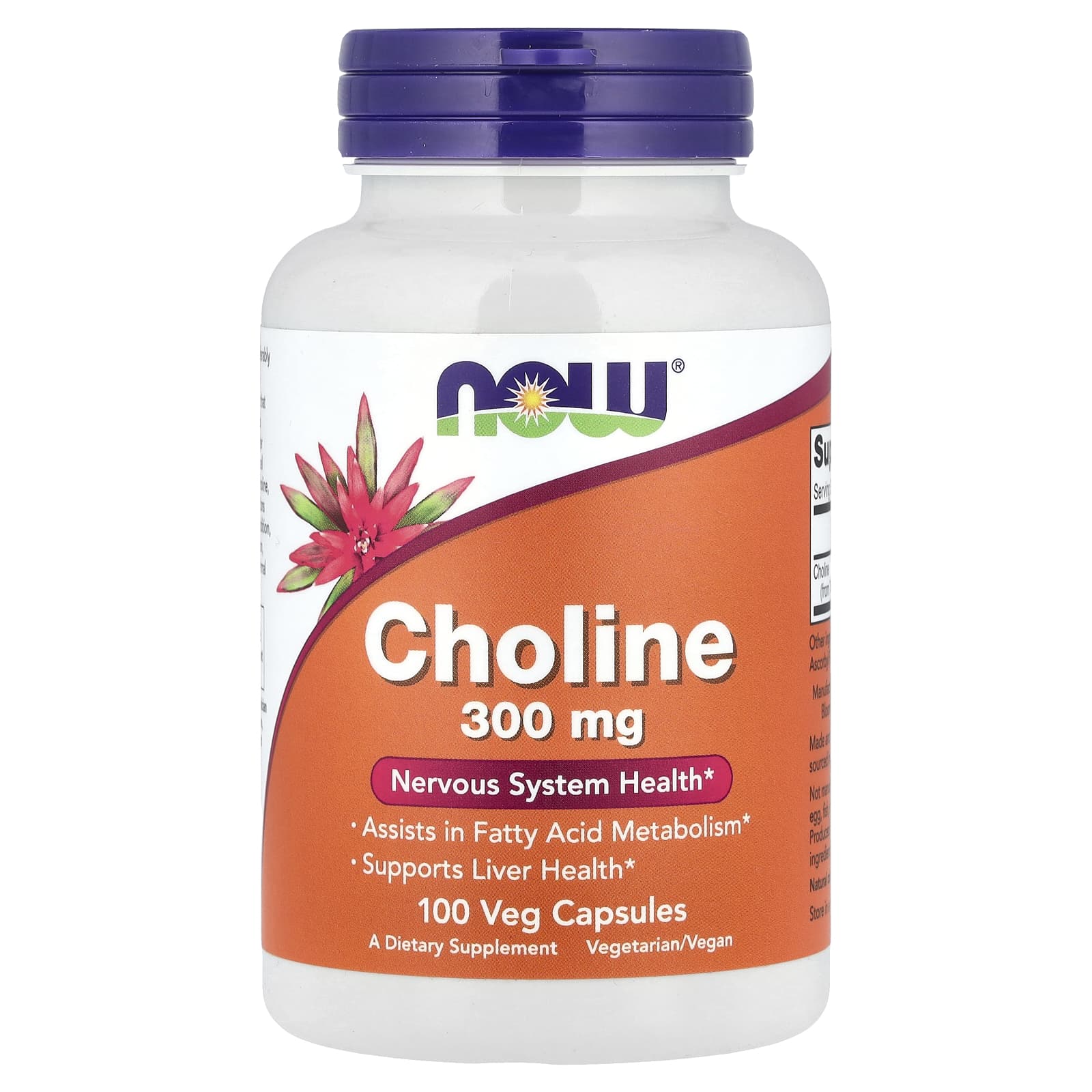 NOW Foods Choline ingredienser lista