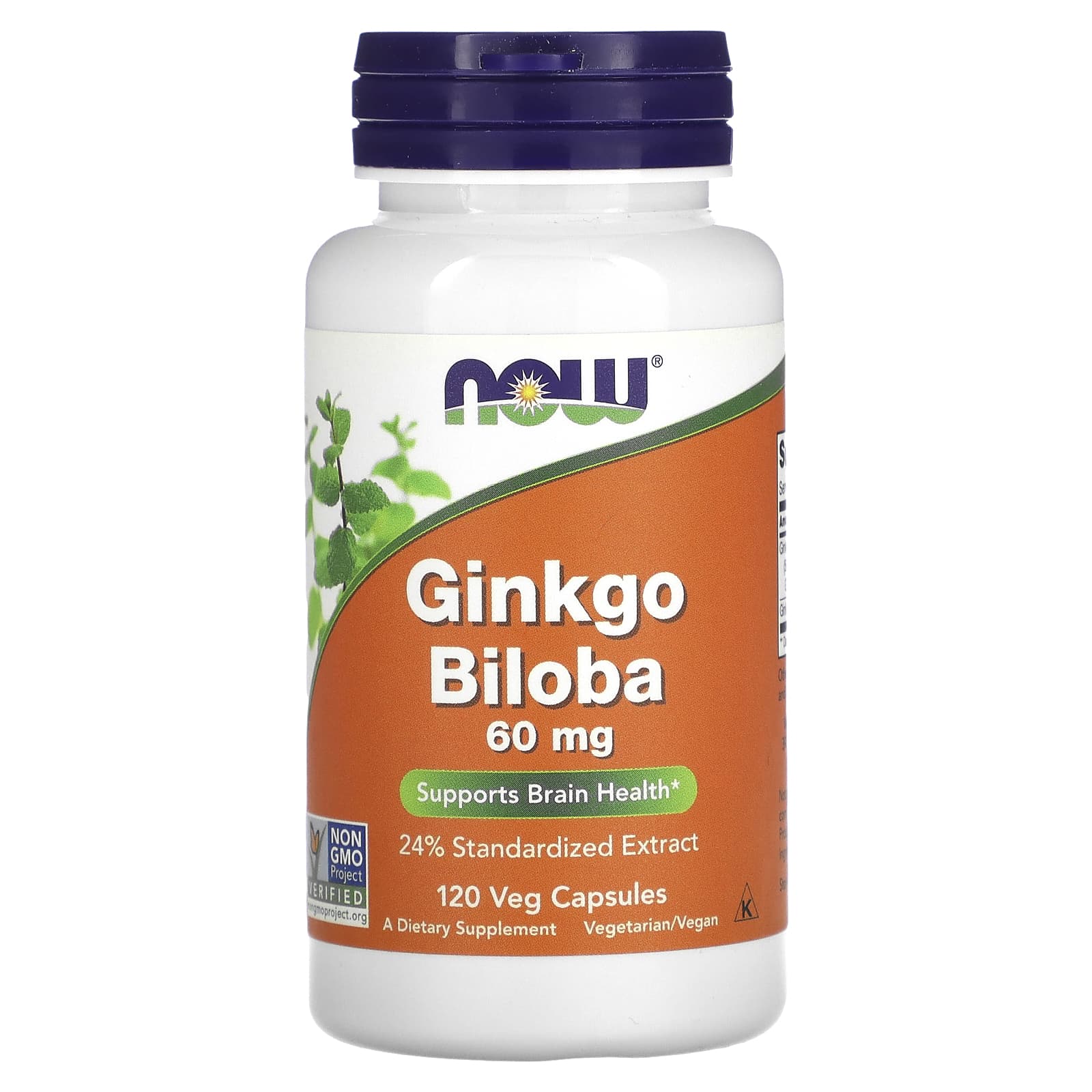 Now Foods - Ginkgo Biloba