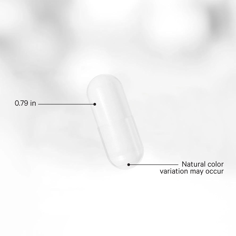 Codeage - Akkermansia - 90 Vcaps - 90 Vegetable Caps