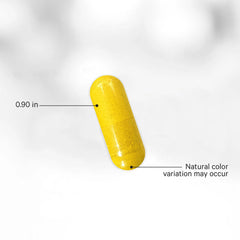Codeage - Berberine Phytosome+ - 60 Vcaps - 60 Vegetable Caps