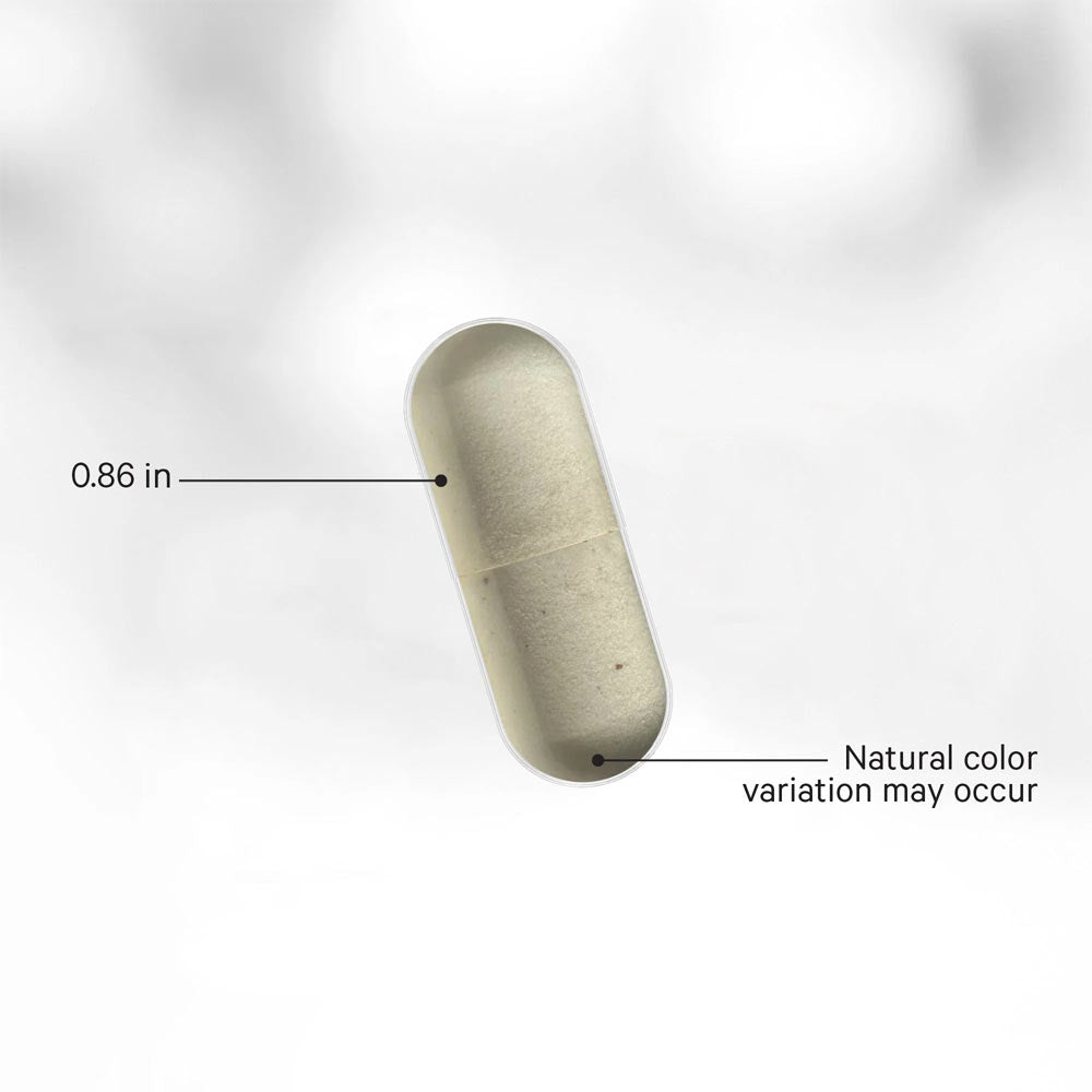 Codeage - Biotin Marine Collagen - 120 Vcaps - 120 Vegetable Caps