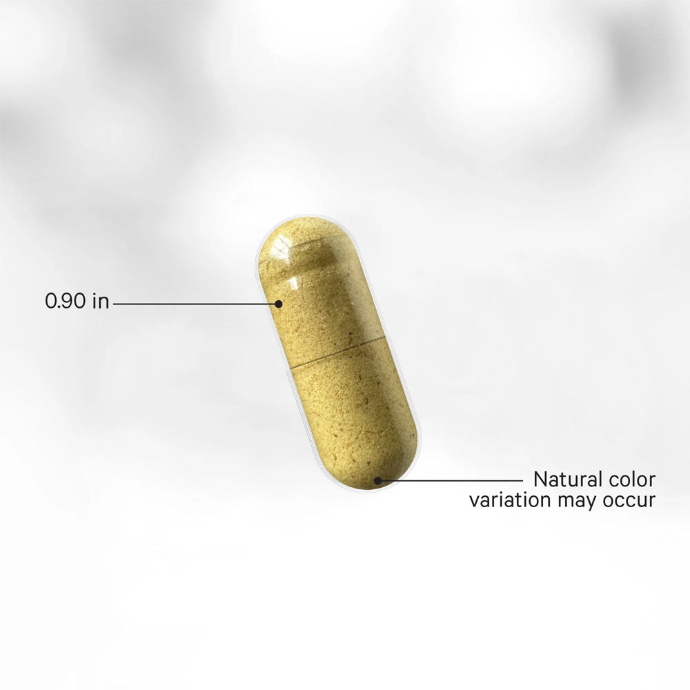 Codeage - Fermented Digestive Enzymes+