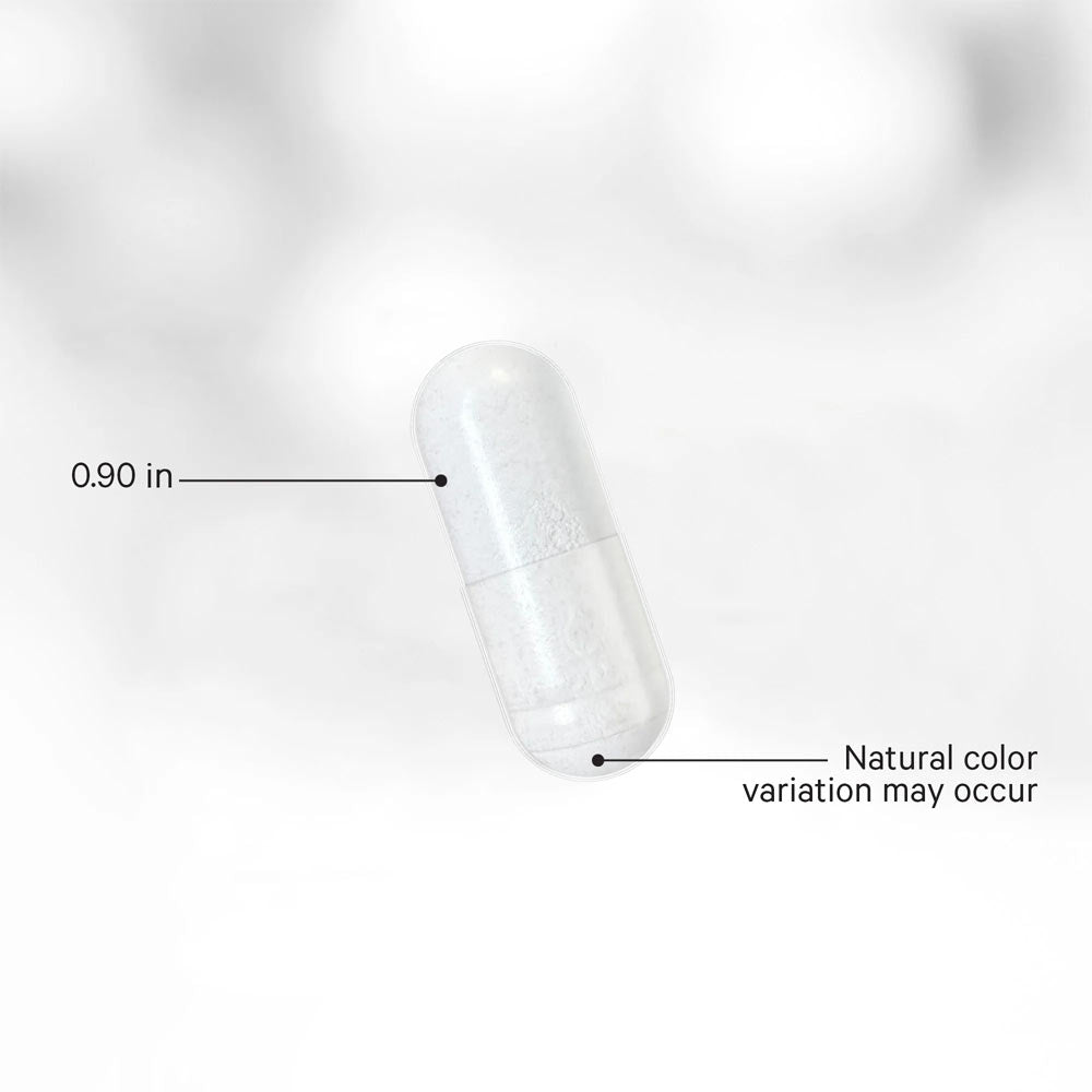 Codeage - Liposomal Nicotinamide Riboside - 60 Vcaps - 60 Vegetable Caps