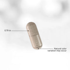 Codeage - Liposomal Urolithin A - 60 Vcaps - 60 Vegetable Caps
