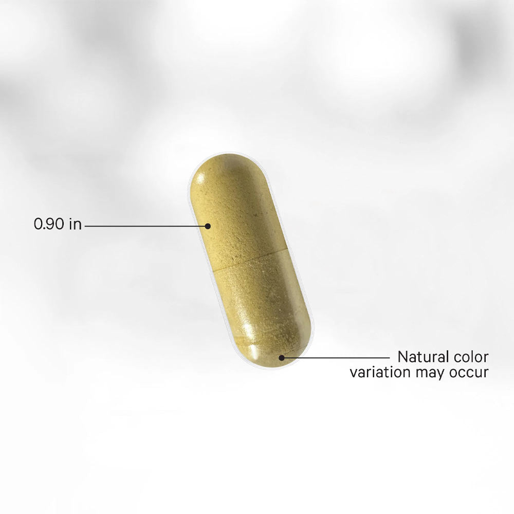 Codeage - Men's Fermented Multivitamin+