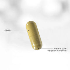 Codeage - Men's Fermented Multivitamin+