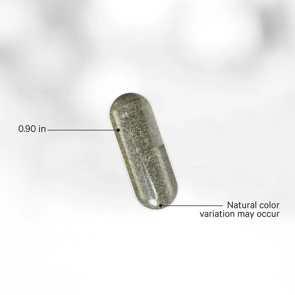 Codeage - Raw Vitamin D3+ - 60 Vcaps - 60 Vegetable Caps