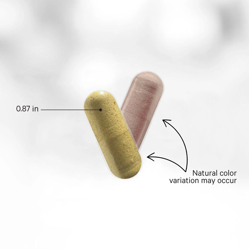 Codeage - SBO Probiotic+