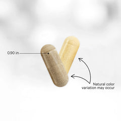 Codeage - Women's Fermented Multivitamin+