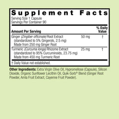 Nature's Answer - Turmeric And Ginger - 90 Vcaps