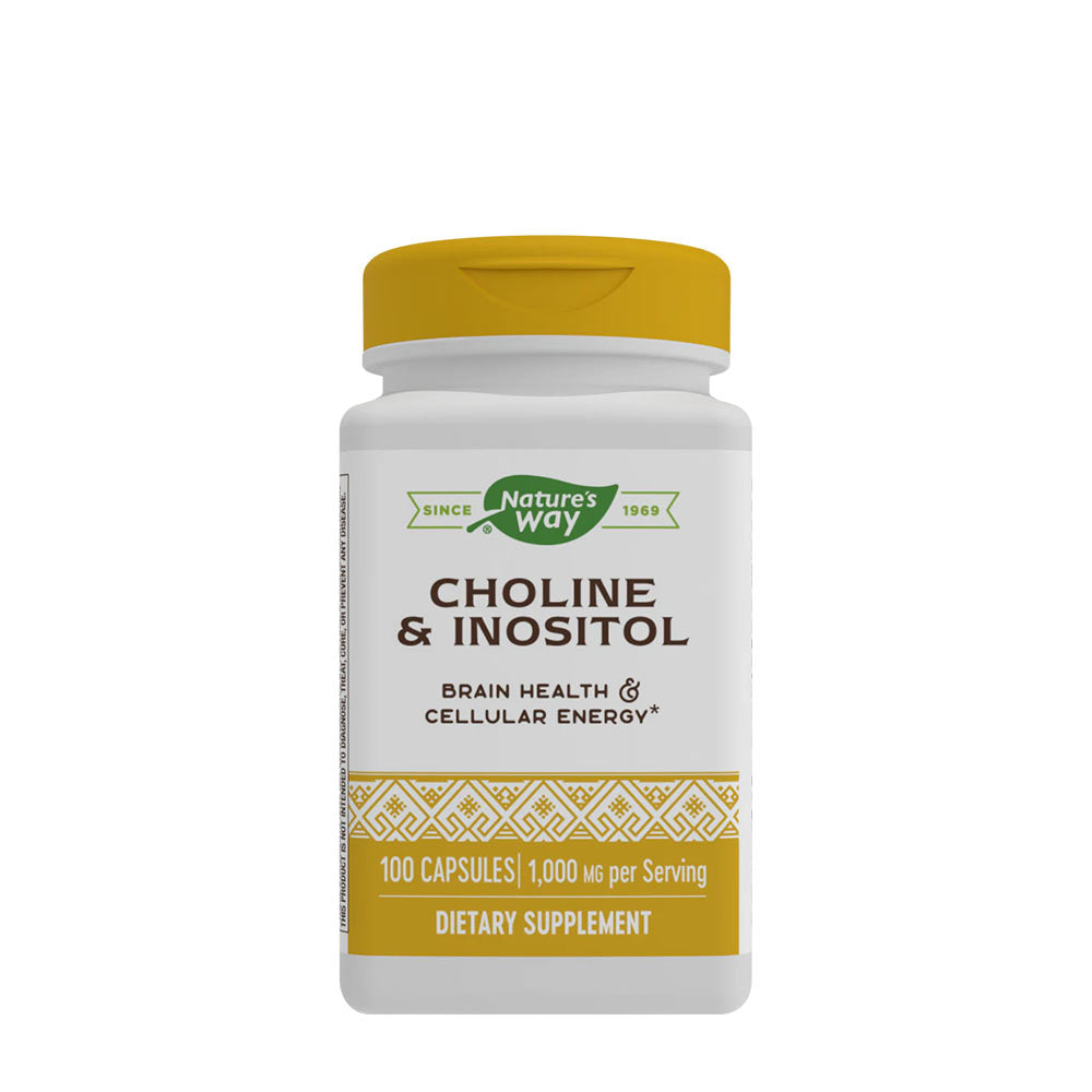 Nature's Way Choline & Inositol dietary supplement for brain health, featuring 100 capsules, 1000 mg serving.