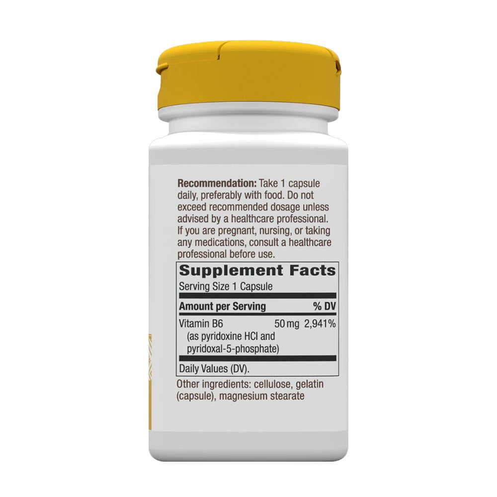 Nature's Way - Vitamin B-6 - 100 kapsler