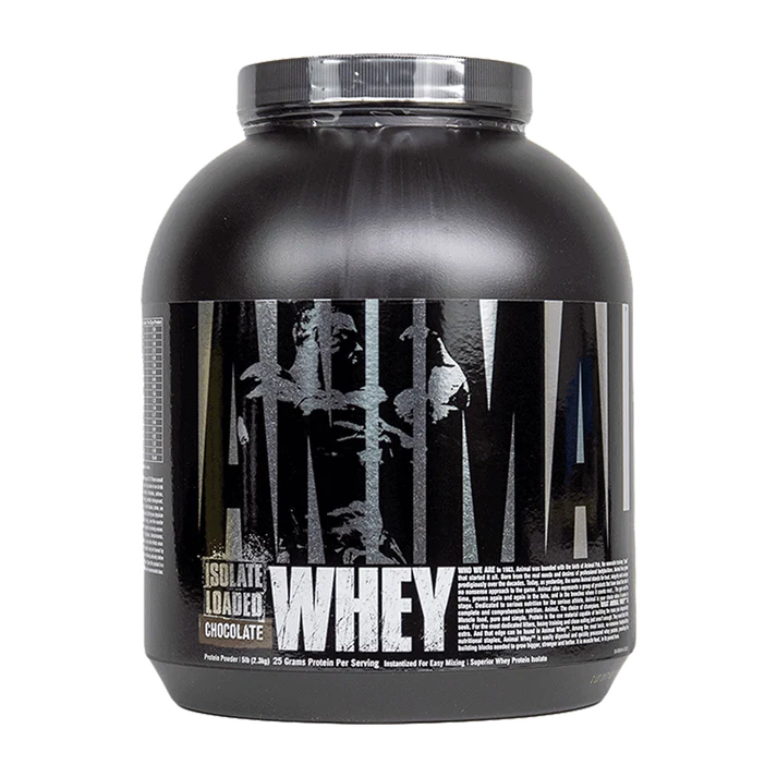 Universal Nutrition Animal Whey protein powder container in chocolate flavor, promoting muscle gain and recovery.