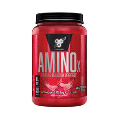BSN - Amino X