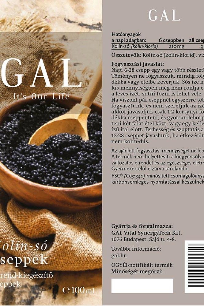 GAL Choline salt 100 ml supplement bottle label highlighting health benefits and ingredients