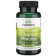 Swanson Full Spectrum Chanca Piedra framsida