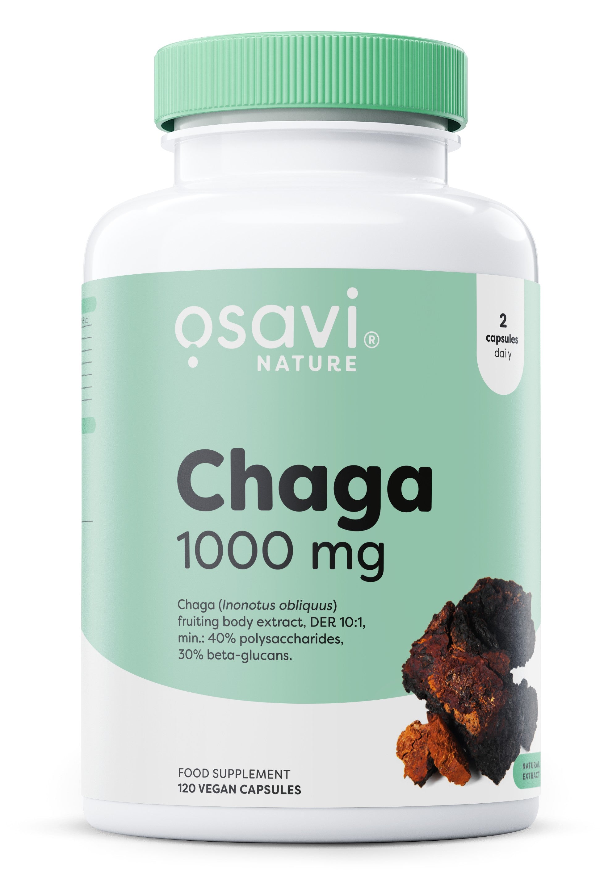 Chaga