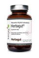 Kenay Herbagut® dietary supplement, a blend of Indian extracts in a dark jar, supports gut balance, 60 vegan capsules.