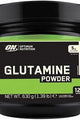 Optimum Nutrition Glutamine Powder framsida