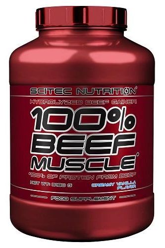 Scitec Nutrition 100% Beef Muscle protein supplement in a red container, creamy vanilla flavor.