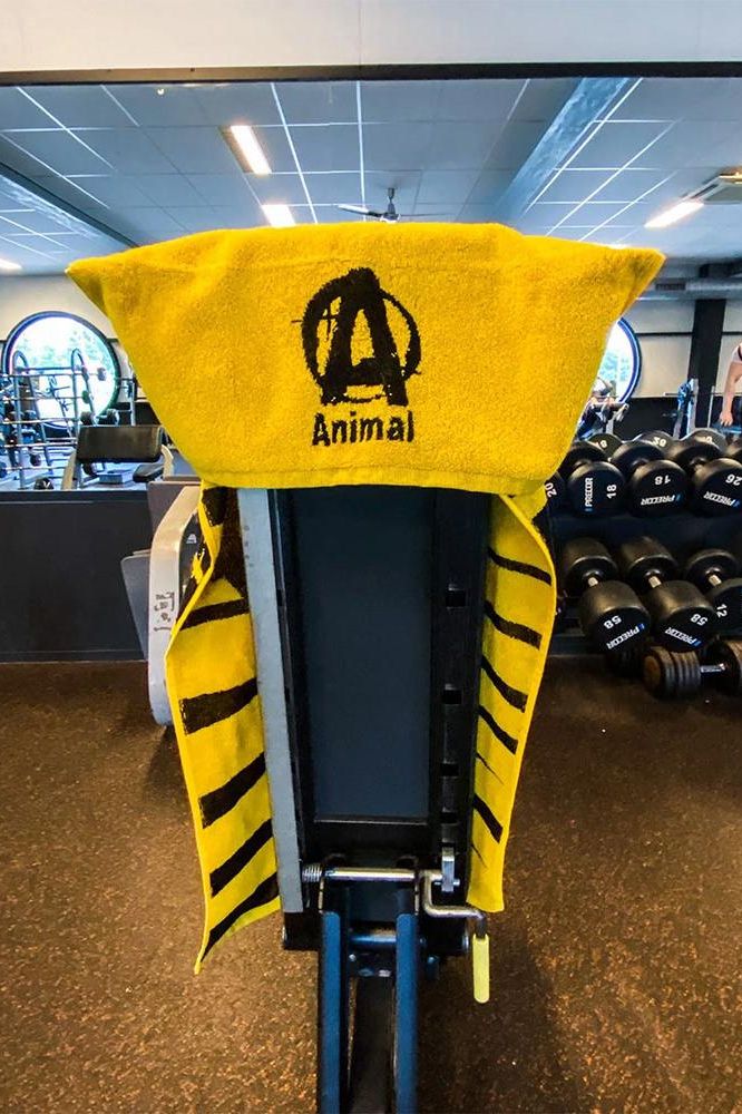 Bright yellow Animal Gym Towel on a gym bench, featuring a unique design and convenient pocket for stability.