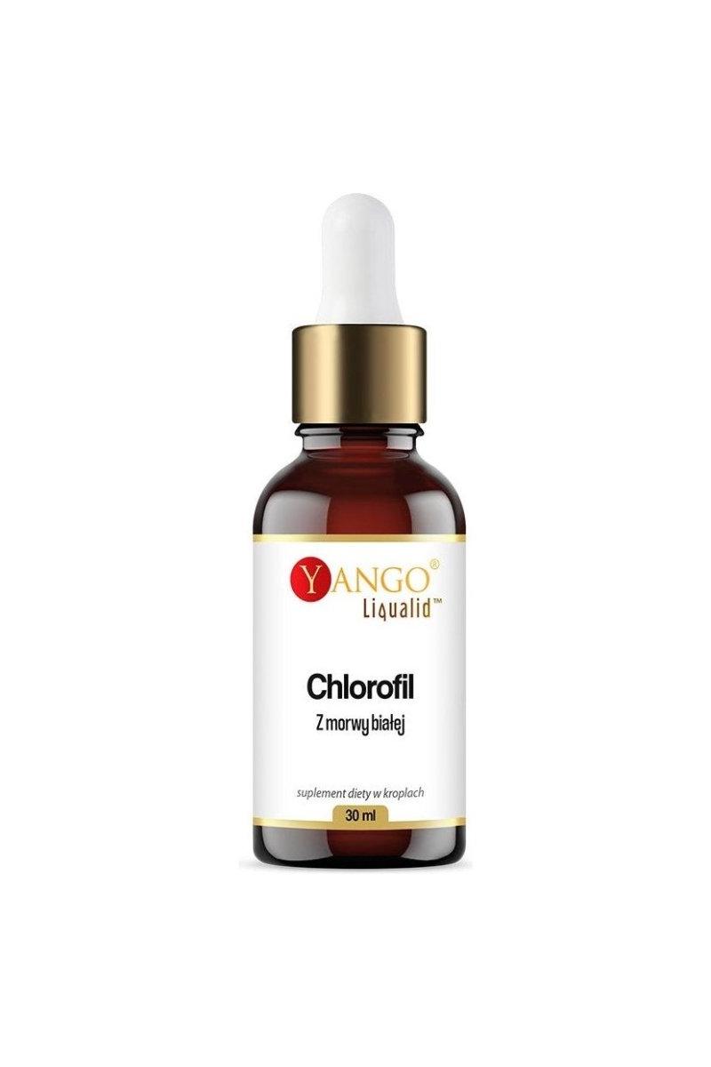 Yango White Mulberry Chlorophyll drops 30ml, supports detoxification and boosts immunity.